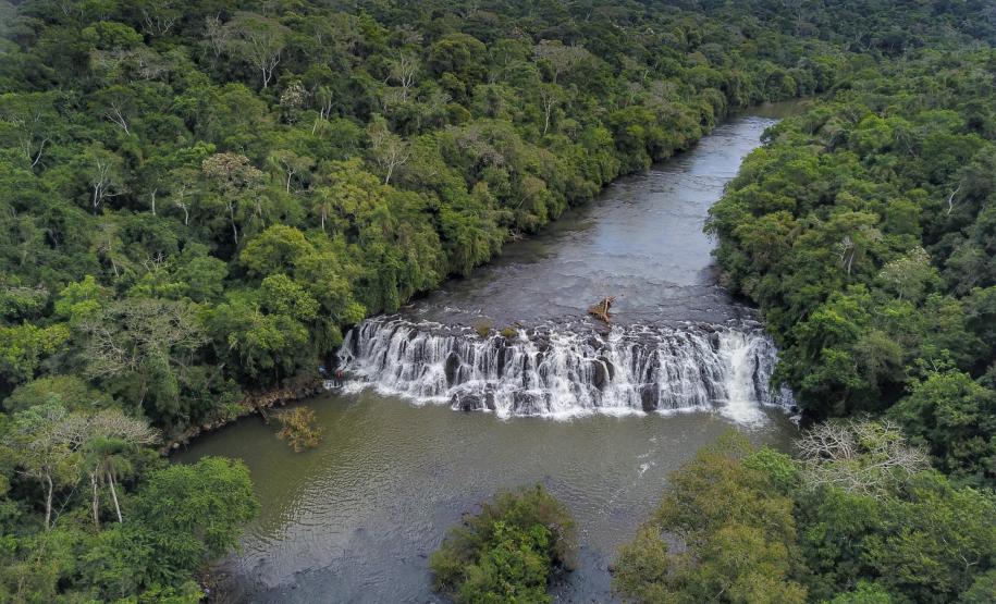 ECOSSISTEMA VISTA AÉREA