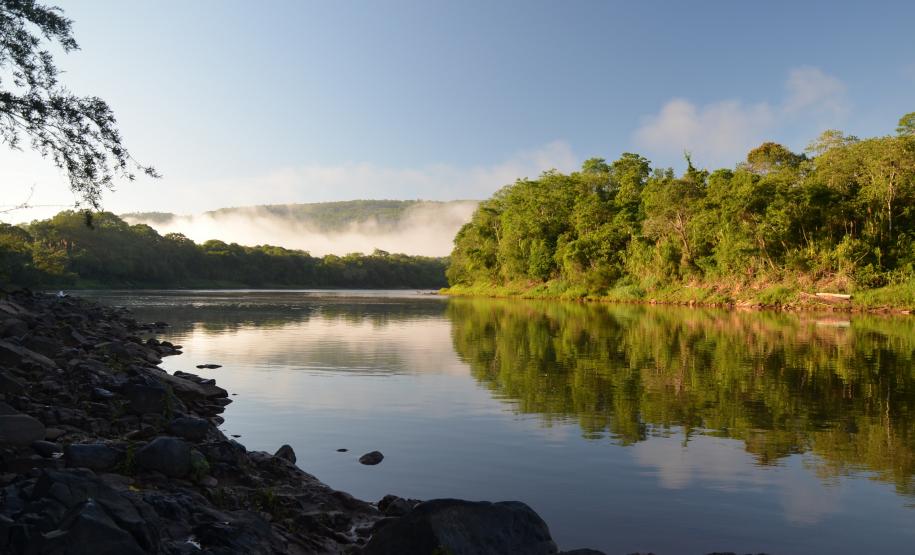 ECOSSISTEMA VISTA PLANA