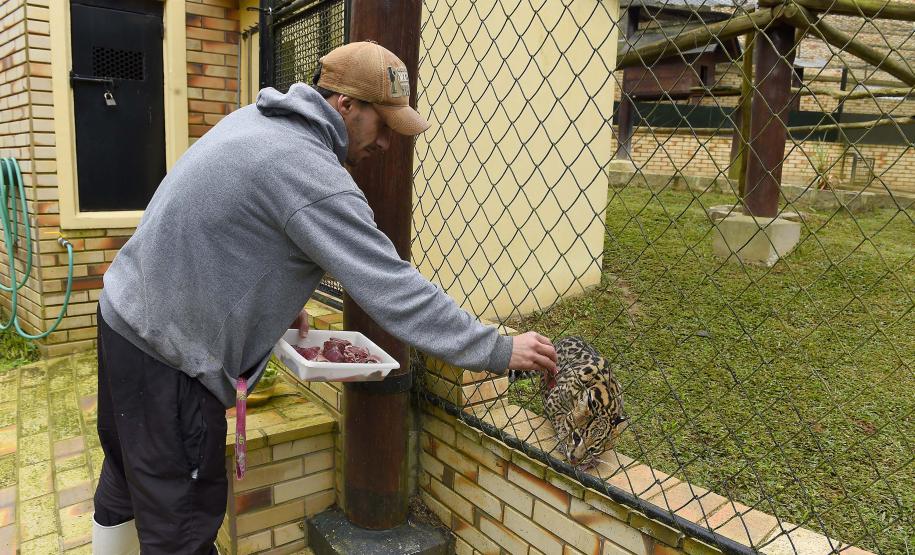 FUNCIONÁRIO EM AÇÃO
