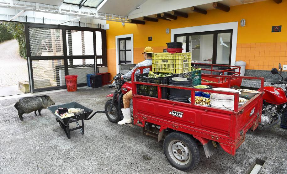 FUNCIONÁRIO EM AÇÃO