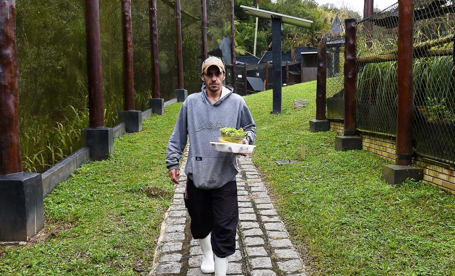 FUNCIONÁRIO EM AÇÃO