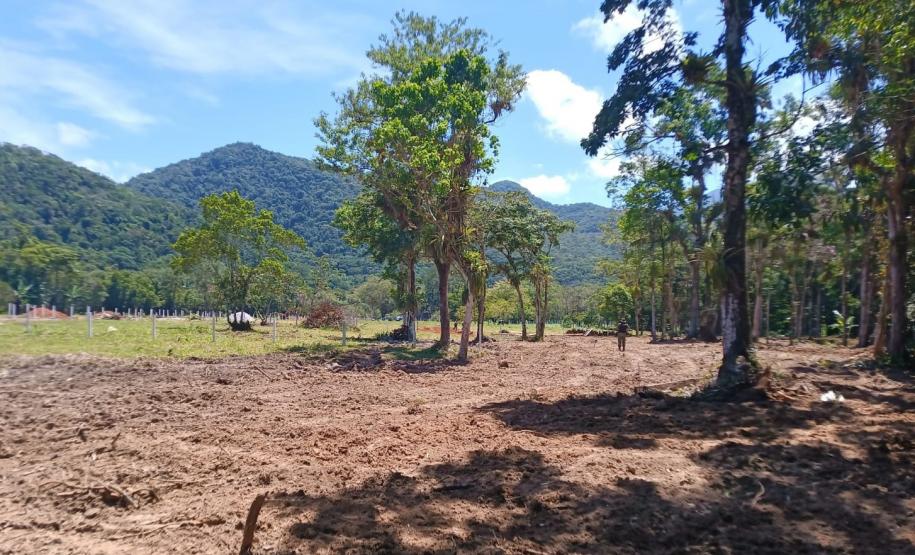 Instituto Água e Terra alerta para golpe do licenciamento ambiental no Litoral do Paraná
