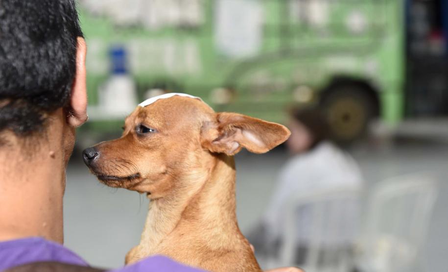 Foto de evento do Castrapet