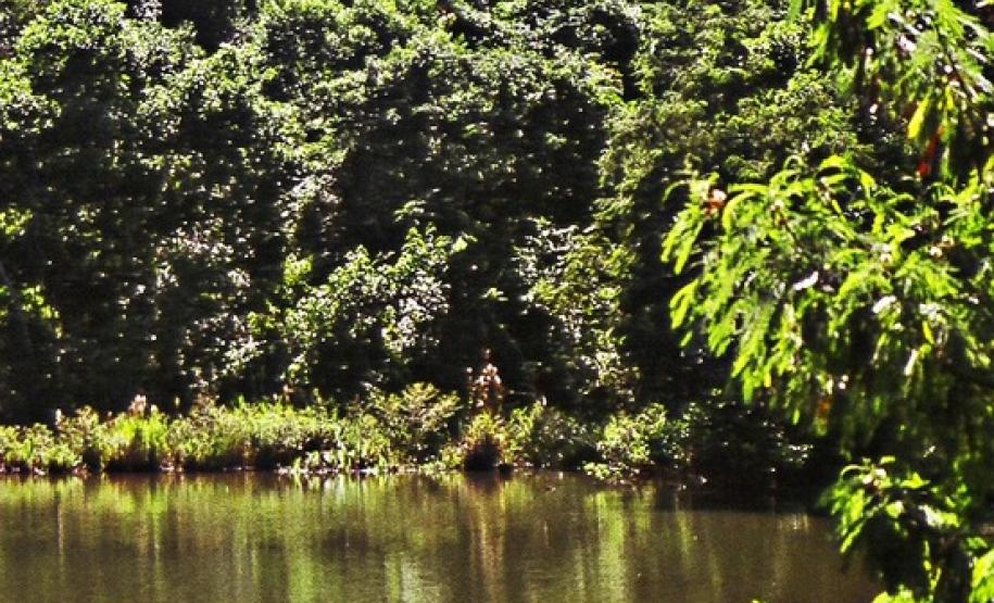 Bacias Hidrográficas Do Paraná Abrigam Belezas E Potencial Turístico Instituto Água E Terra 7457