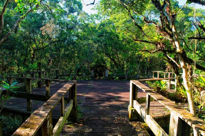 Com Florestas E Trilhas, Parques Estaduais São Atrações Para Veranistas ...